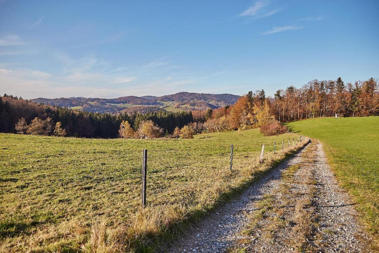 Ferienwohnungen Wald Und Wiese Вальдкирхен Экстерьер фото